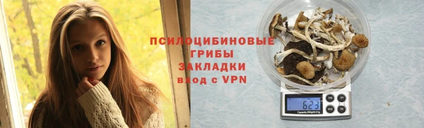 героин Алексин