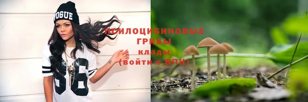 прущий лед Абдулино